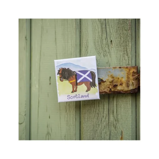 Scottish Pony Fridge Magnet